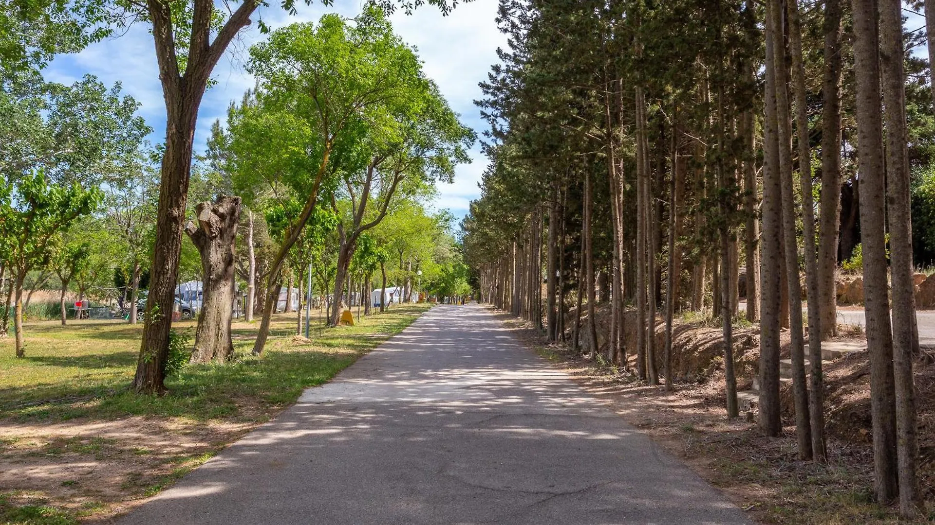 Bungalow Forest L'Escala 0*,